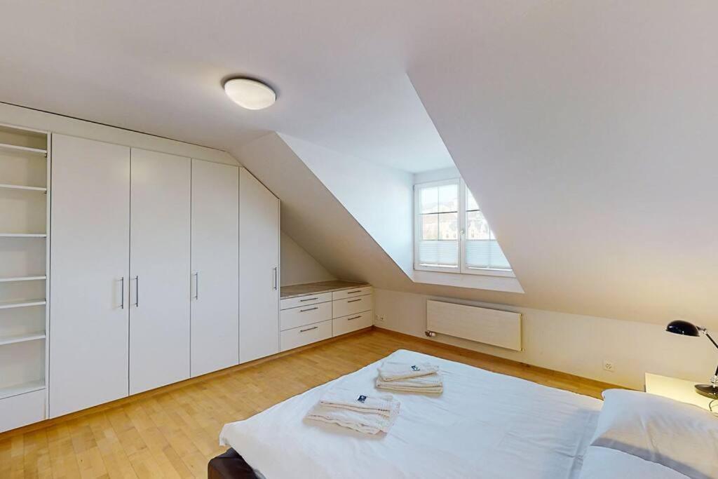 Maisonette Penthouse In Old Town - Uz10 Apartment Zurich Luaran gambar