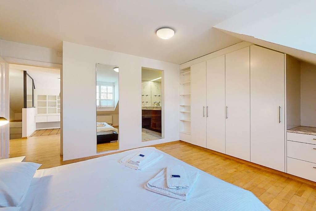 Maisonette Penthouse In Old Town - Uz10 Apartment Zurich Luaran gambar